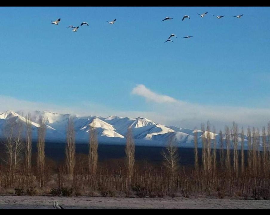 Rio Los Patos Бареал Екстериор снимка