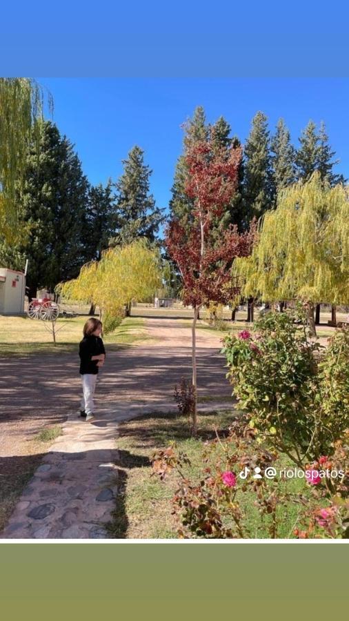 Rio Los Patos Бареал Екстериор снимка